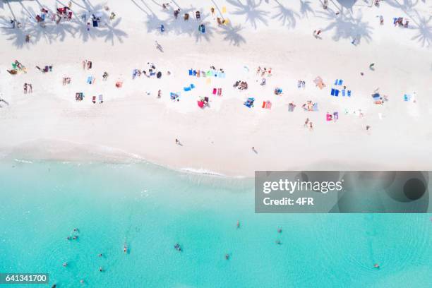 tropisch strand met palm tree schaduwen, thailand - aerial beach people stockfoto's en -beelden