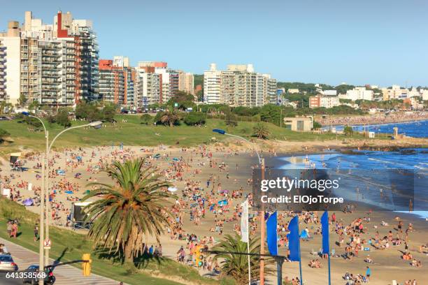 people enjoying summer in buceo beach, montevideo, uruguay - buceo stockfoto's en -beelden
