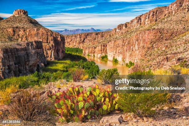 hot springs canyon in big bend national park - big bend stock pictures, royalty-free photos & images