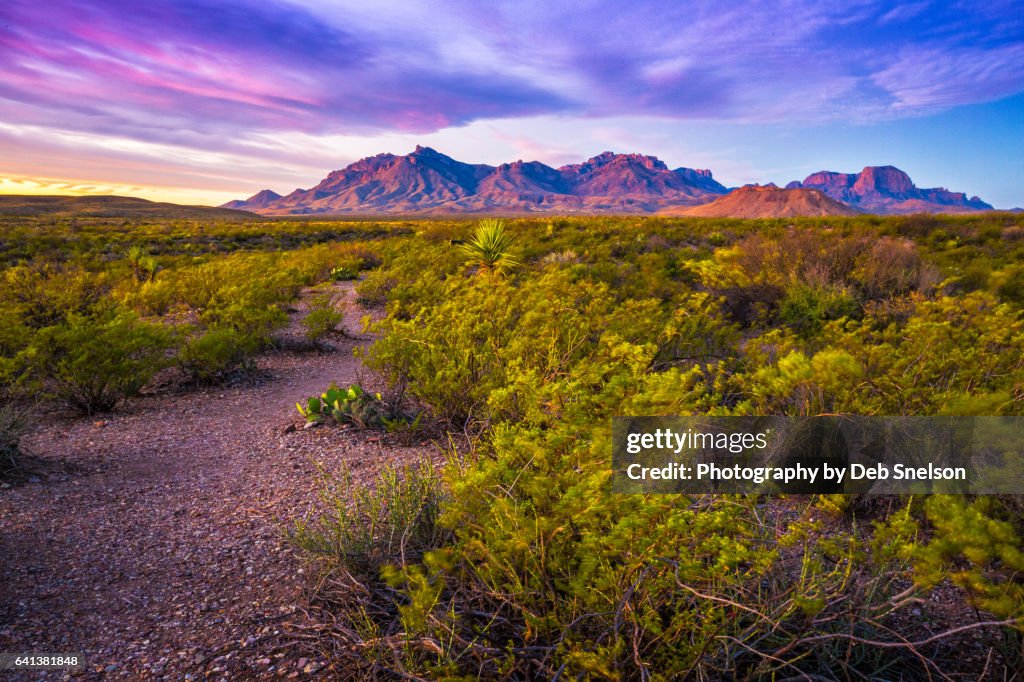 First Light on Chisos Mountains Big Bend National Park