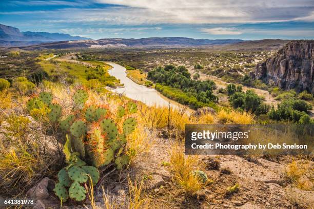 view of rio grande from castelon - chihuahua desert 個照片及圖片檔
