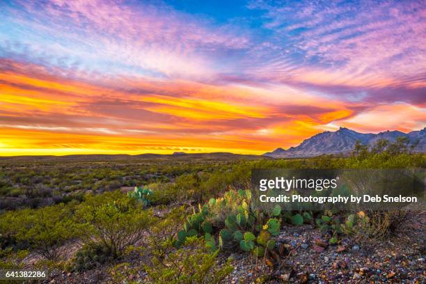 big texas dawn in big bend national park - chisos mountains stock pictures, royalty-free photos & images