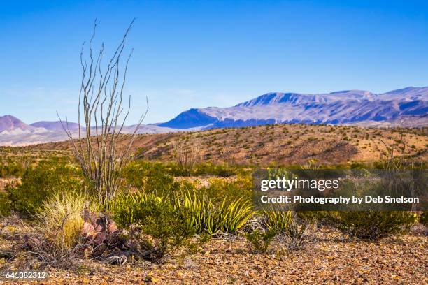 chihuahuan desert big bend national park - chisos mountains stockfoto's en -beelden