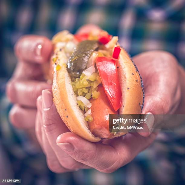 chicago style hot dog - relish stock pictures, royalty-free photos & images