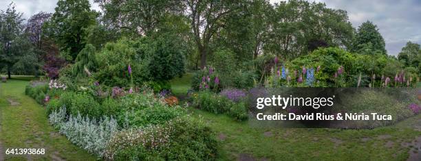 gardens of buckingham palace, london - buckingham palace gardens stock pictures, royalty-free photos & images