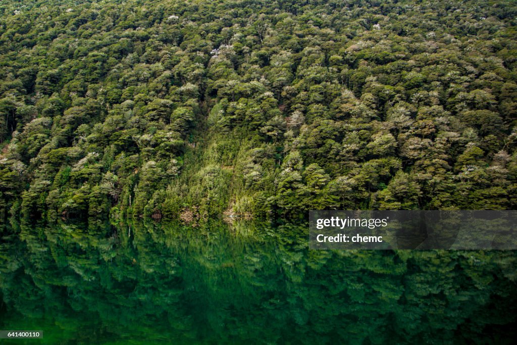 Fiordland Notional Park