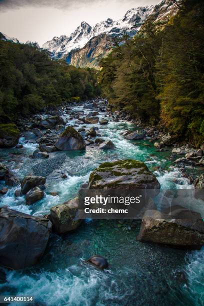 fiordland notional park - fiordland national park stock pictures, royalty-free photos & images