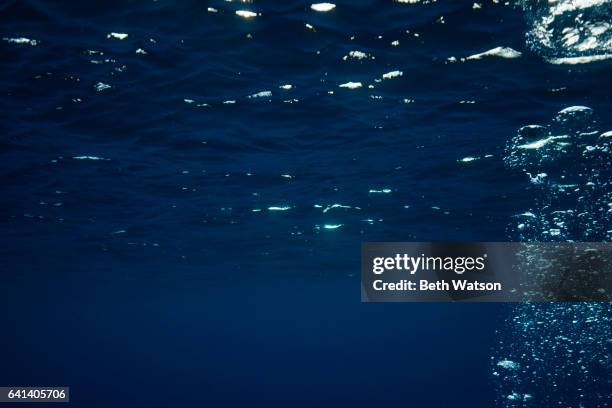 underwater abstract with bubbles - dark blue stock pictures, royalty-free photos & images