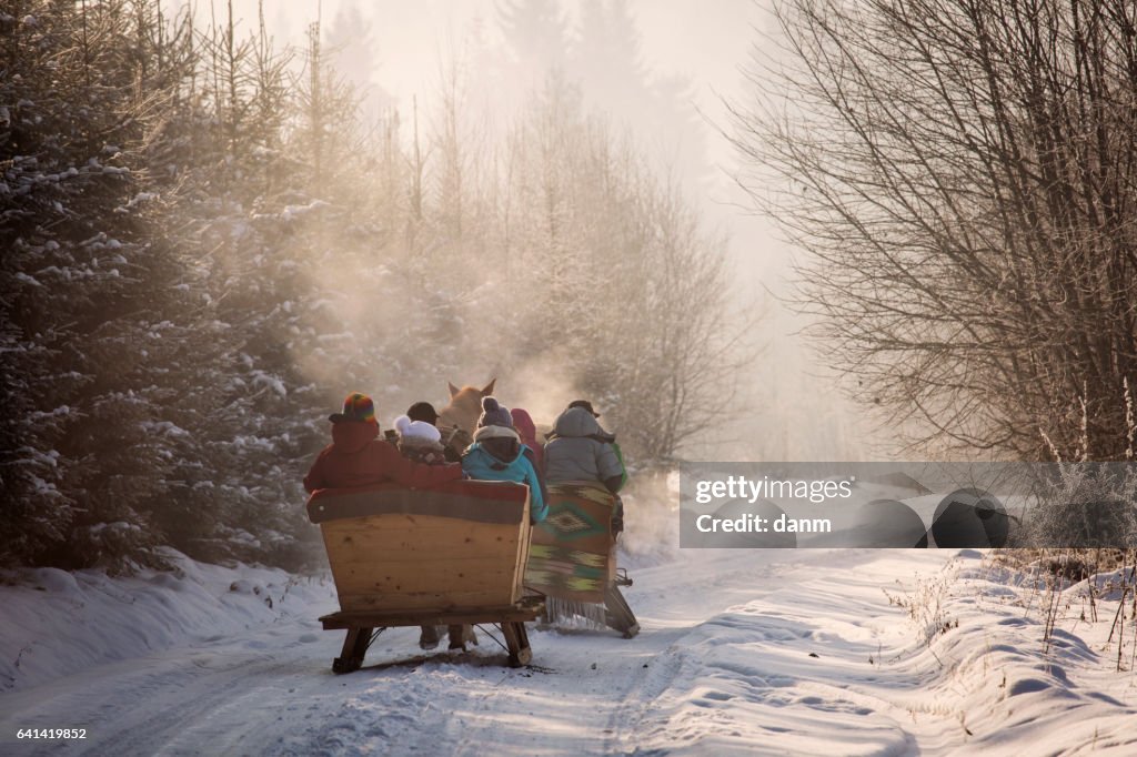 Beautyful sleigh in the winter trough the forest