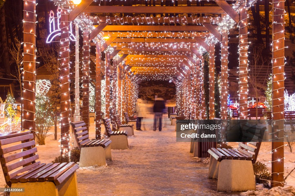 Beautiful tunnel of lights with snow in the winter time