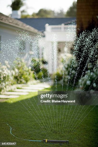 624 Building Sprinkler Stock Photos, High-Res Pictures, and Images ...