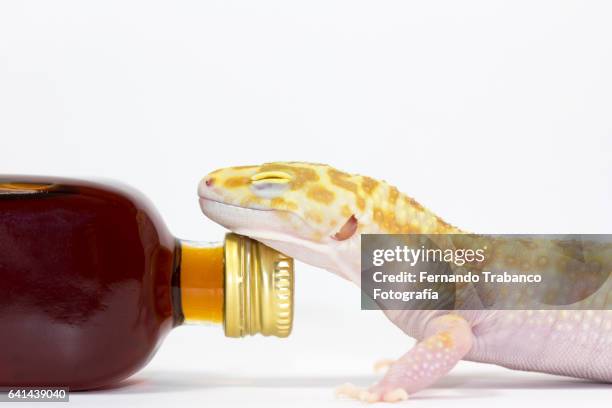 Disgusted Drink Photos and Premium High Res Pictures - Getty Images