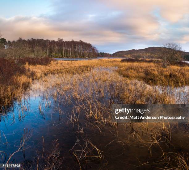 loch tummel scenic vista - loch tummel stock pictures, royalty-free photos & images