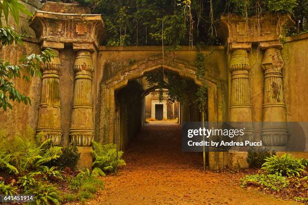 highgate cemetery in a winter morning, london, united kingdom - highgate ストックフォトと画像