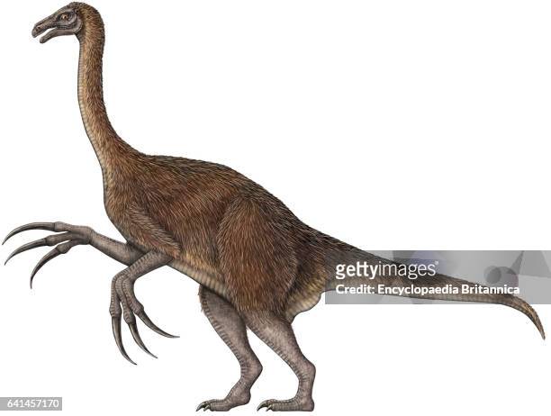 Therizinosaurus, theropod, dinosaur.