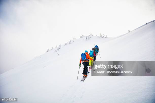 group of backcountry skiers on tour ascending mountainside in snow - womens us ski team stock pictures, royalty-free photos & images