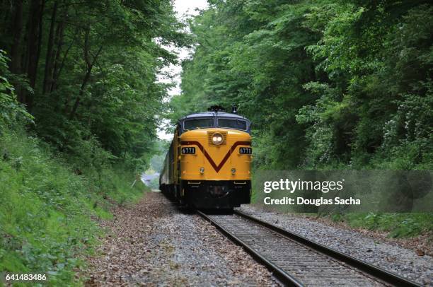 freight locomotive passing through the forest - roadkill stock pictures, royalty-free photos & images