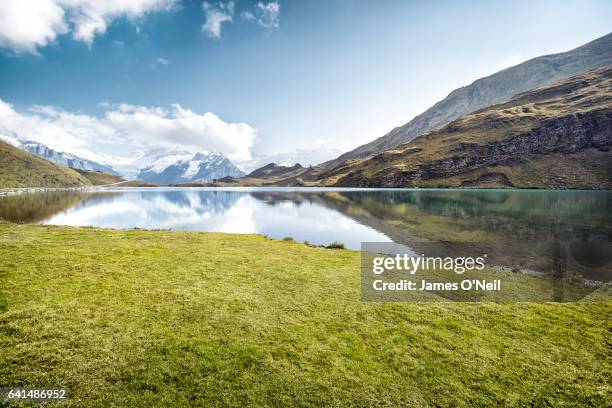 grassy patch next to lake with mountain reflections - schweizer alpen stock-fotos und bilder