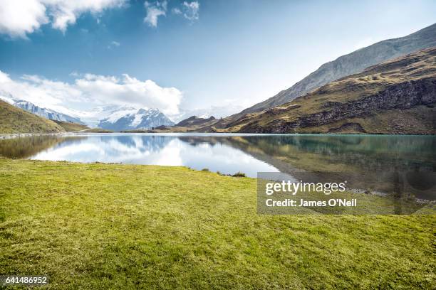 grassy patch next to lake with mountain reflections - 絶景 ストックフォトと画像