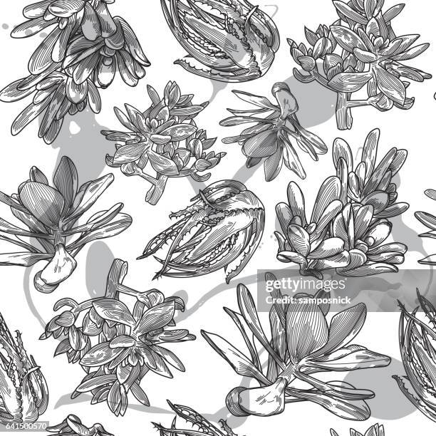 succulent pattern - aloe vera stock illustrations