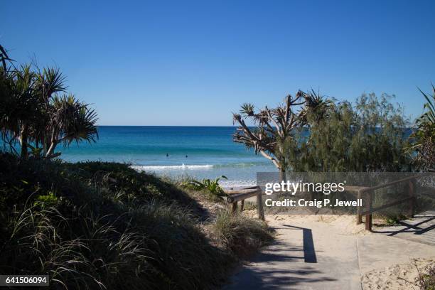 down to the pacific at peregian - brisbane beach stock pictures, royalty-free photos & images