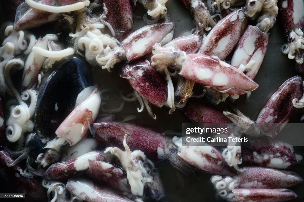 Baby Squid For Sale In A Seafood Market High-Res Stock Photo - Getty Images