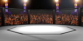 3D Rendered Illustration of an MMA, mixed martial arts, fighting cage arena.