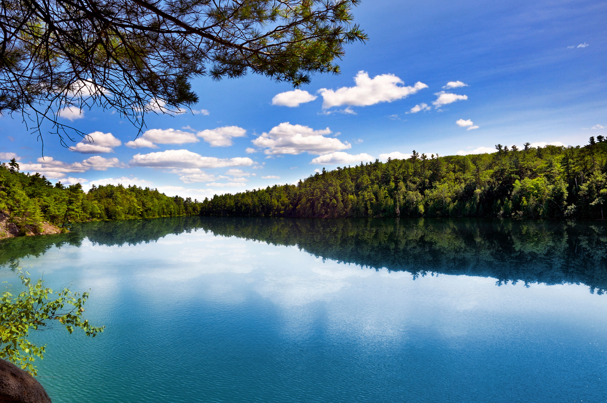 Gatineau Park