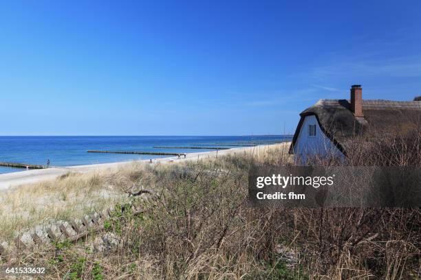 a house in the dunes and the nice beach of baltic sea (fischland, mecklenburg-vorpommern, germany) - toit de chaume photos et images de collection