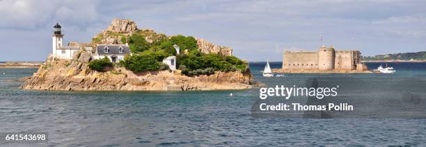 taureau castle and louët island in morlaix bay - bateau à voile stockfoto's en -beelden