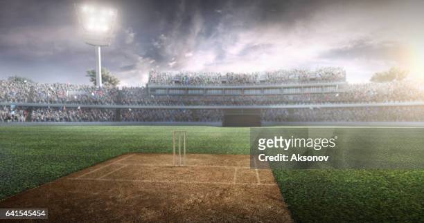 cricket: cricket stadium - cricket stock pictures, royalty-free photos & images