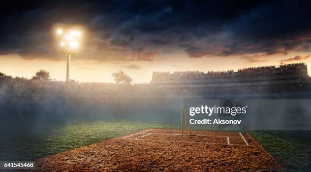 cricket: cricket stadium - cricket stadium stock pictures, royalty-free photos & images