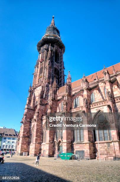 freiburg minster - freiburg im breisgau, germany - bonn stock pictures, royalty-free photos & images