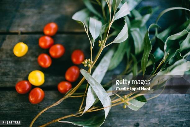 eucalyptus leaves and cherry tomatoes on wooden table - eucalyptus leaves stock-fotos und bilder