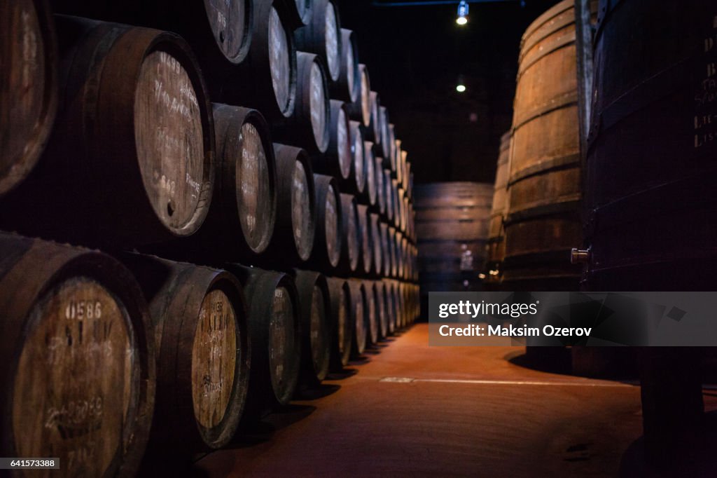 Port wine barrels in warehouse of Calem distillery in Porto