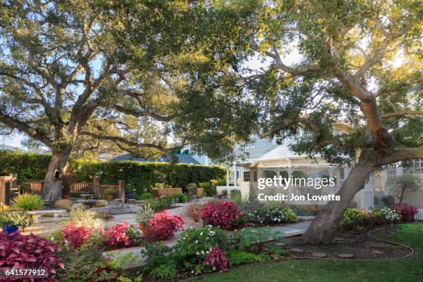 gazebo and back yard garden with lawn and large trees - belvedere stock pictures, royalty-free photos & images