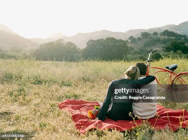 couple on picnic blanket - picknickkorb stock-fotos und bilder