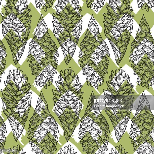seamless hawaiian ginger plant pattern - ginger root stock illustrations