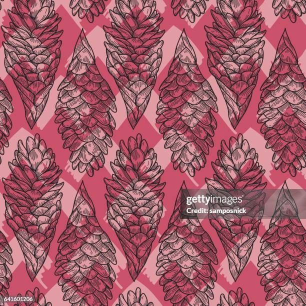 129 Hawaiian Ginger Plant Stock Photos, High-Res Pictures, and Images ...