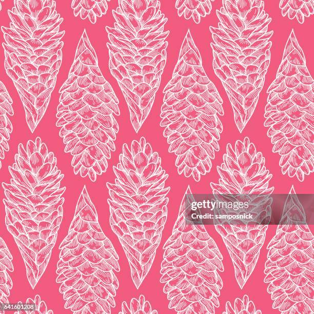 129 Hawaiian Ginger Plant Stock Photos, High-Res Pictures, and Images ...