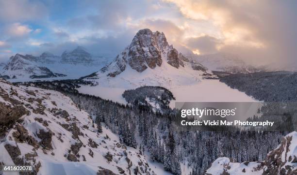 winter | niblet, mount assiniboine, canadian rockies - mont assiniboine photos et images de collection