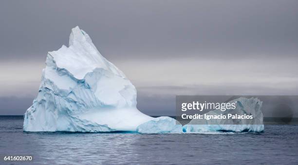 iceberg, south georgia - iceberg stock pictures, royalty-free photos & images