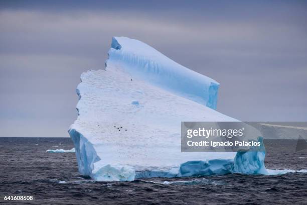 iceberg, south orkneys - insel south orkney island stock-fotos und bilder
