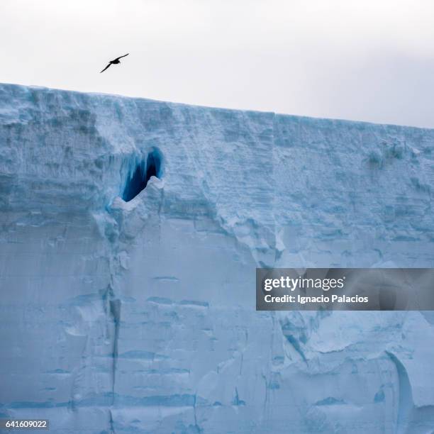 tubular icebergs, south orkneys - south orkney island stock pictures, royalty-free photos & images