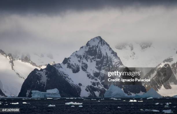 south orkney islands (orcadas) - south orkney island stock pictures, royalty-free photos & images