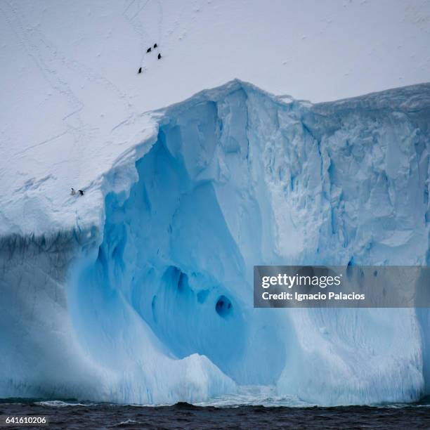 icebergs, south orkneys - insel south orkney island stock-fotos und bilder