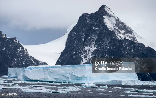 tubular icebergs, south orkneys - south orkney island stock pictures, royalty-free photos & images