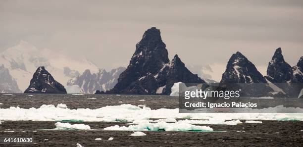 south orkney islands (orcadas) - south orkney island stock pictures, royalty-free photos & images