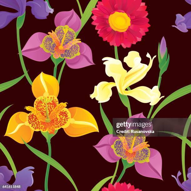 iris & tigridia pattern - iris flower stock illustrations