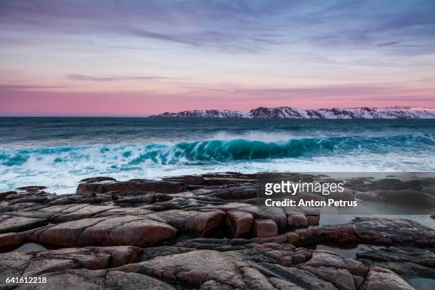 stormy barents sea at sunset - murmansk stock pictures, royalty-free photos & images